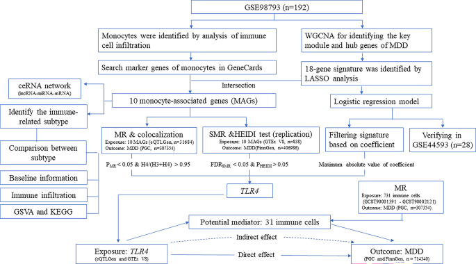 TLR4 identified as a major depressive disorder gene signature mediating effects through multiple immune cells
