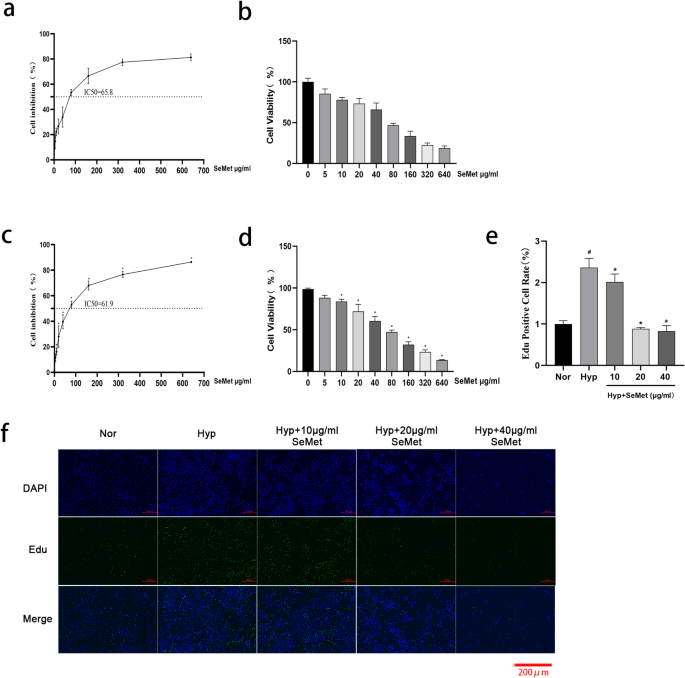 Selenomethionine inhibits the proliferation of hypoxia-induced pulmonary artery smooth muscle cells by inhibiting ROS and HIF-1α-ACE-AngII axis