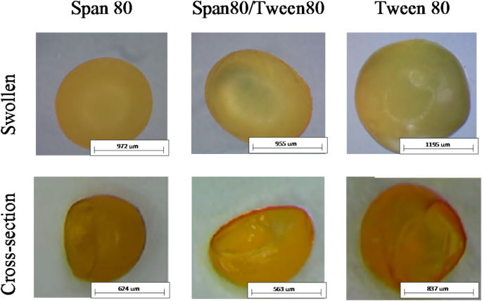 Preparation and preliminary studies of porous fish collagen and chitosan materials enriched with microcapsules containing an active ingredient