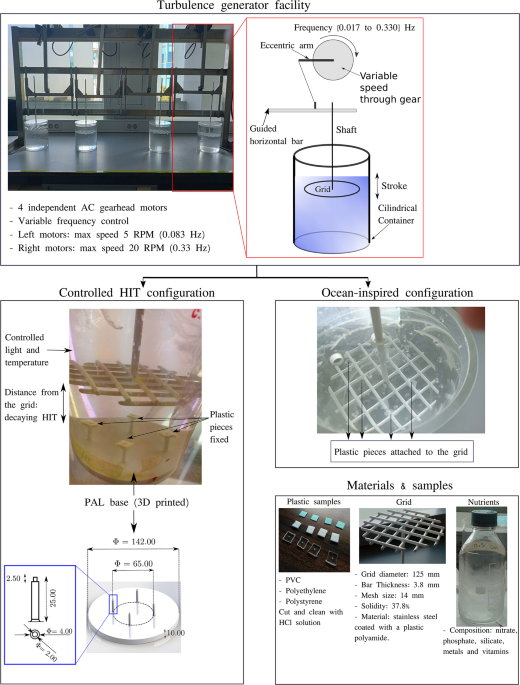 Modulation of biofilm growth by shear and fluctuations in turbulent environments