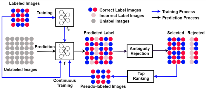 Ambiguity-aware semi-supervised learning for leaf disease classification