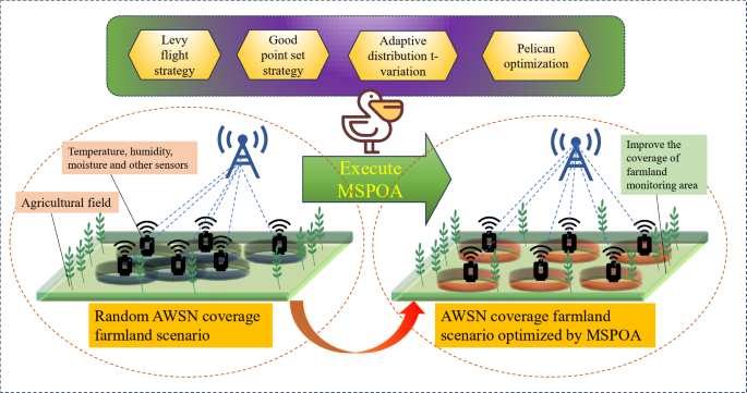 An innovative coverage optimization method for smart information monitoring in agricultural IoT using the multi-strategy Pelican optimization algorithm