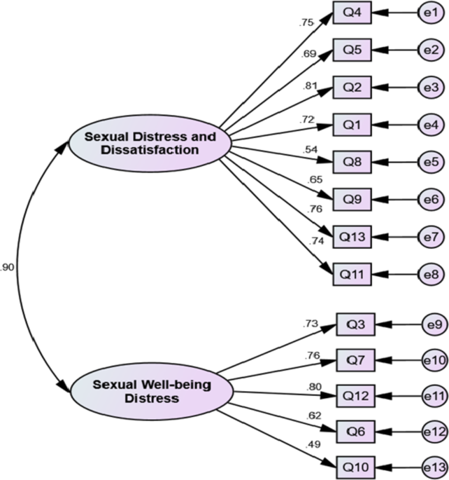Translation and investigation of the psychometric properties of the revised female sexual distress scale among Iranian couples
