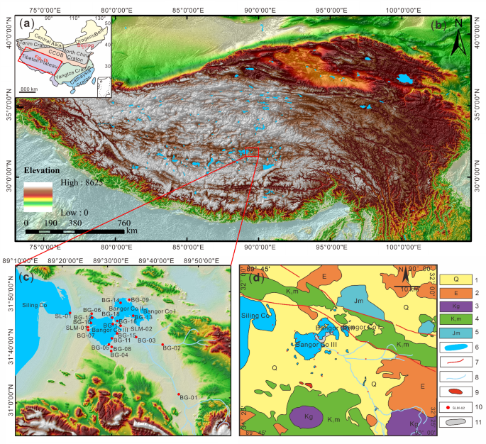 Lithium isotopic composition of the carbonate type salt lake in Tibet and its implication for origin and hydrological processes
