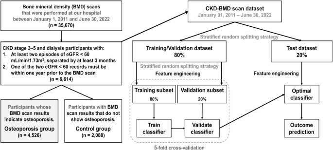Machine learning models to predict osteoporosis in patients with chronic kidney disease stage 3–5 and end-stage kidney disease