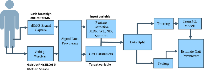 Estimating gait parameters from sEMG signals using machine learning techniques under different power capacity of muscle