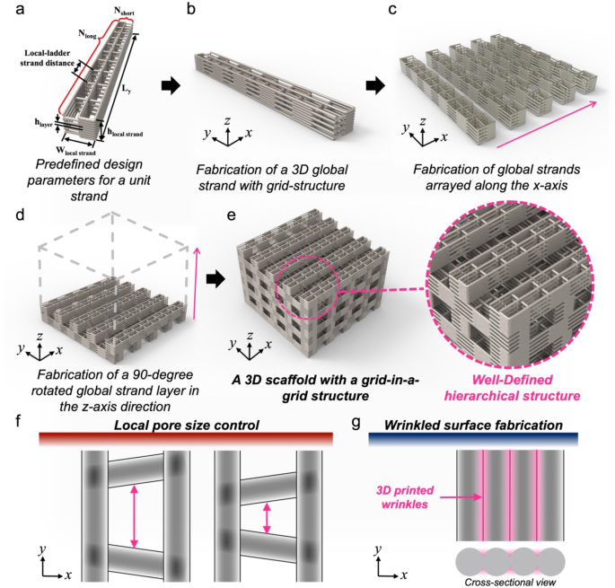 PCL scaffold with well-defined hierarchical pores effectively controls cell migration and alignment of human mesenchymal stem cells
