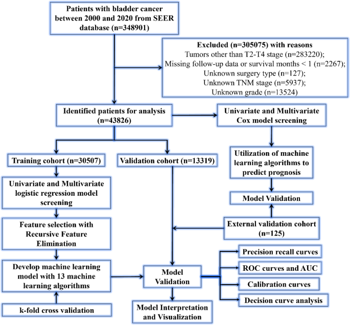 Development and validation of interpretable machine learning models to predict distant metastasis and prognosis of muscle-invasive bladder cancer patients