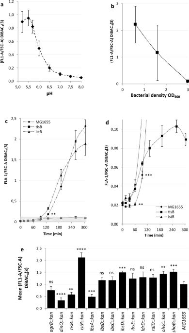 Escherichia coli type I toxin TisB exclusively controls proton depolarization following antibiotic induced DNA damage