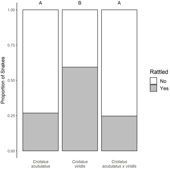 Variation in defensive and exploratory behaviors across a rattlesnake (Crotalus scutulatus × viridis) hybrid zone in Southwestern new Mexico