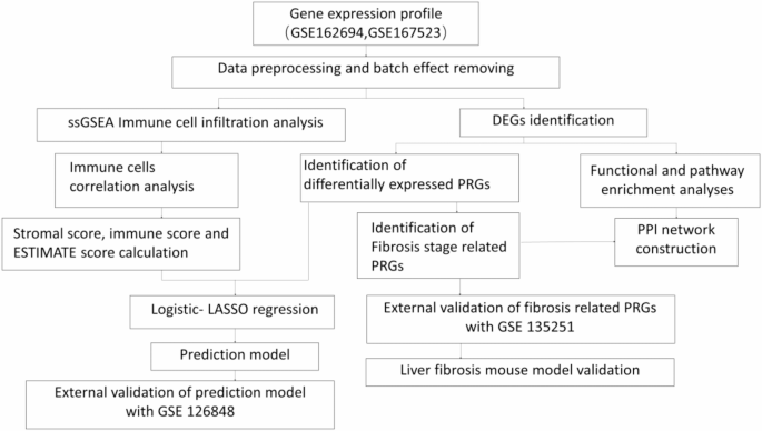 Identification of pyroptosis-associated gene to predict fibrosis and reveal immune characterization in non-alcoholic fatty liver disease