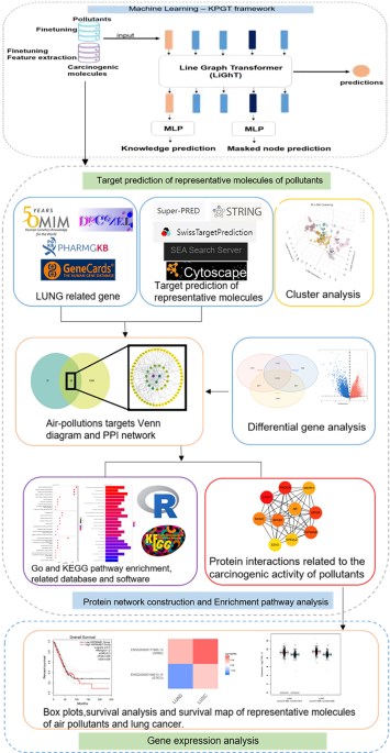 Computational insights into exploring the potential effects of environmental contaminants on human health