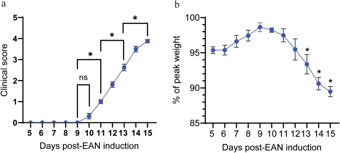 Blood nerve barrier permeability enables nerve targeting of circulating nanoparticles in experimental autoimmune neuritis