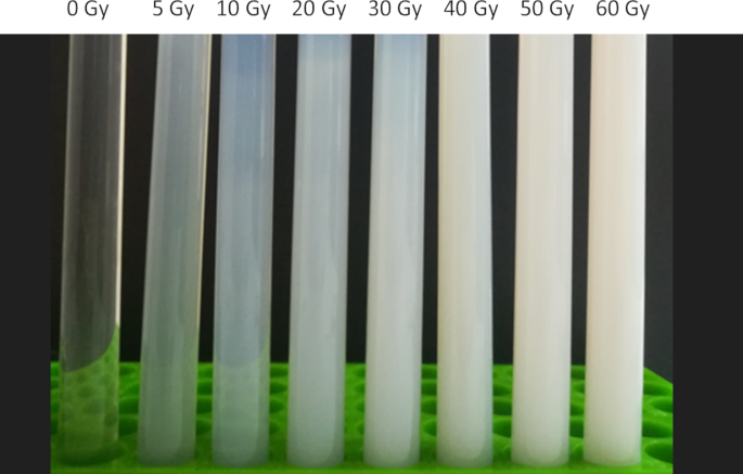 Magnetic properties of polymeric acrylic acid hydrogel dosimeter for radiotherapy applications
