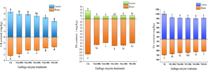 Application and exploration of garbage enzymes in soil remediation of multiple heavy metal pollution