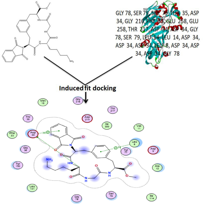 Computer aided study on cyclic tetrapeptide based ligands as potential inhibitors of Proplasmepsin IV