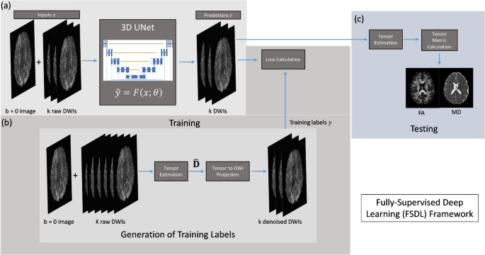 Accelerated diffusion tensor imaging with self-supervision and fine-tuning
