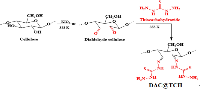 Design, spectroscopic analysis, DFT calculations, adsorption evaluation, molecular docking, comprehensive in silico and in vitro bioactivity studies of thiocarbohydrazide grafted dialdehyde cellulose nanobiosorbent