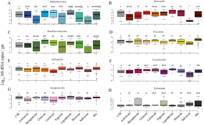 Unravelling pollen diet and microbiome influence on honey bee health