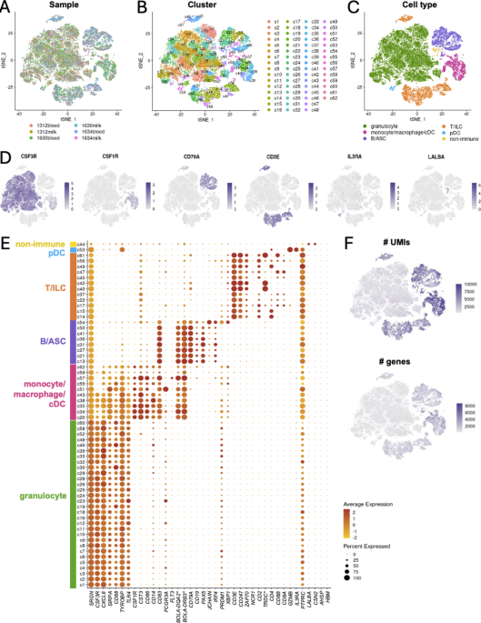 Single-cell RNA sequencing characterization of Holstein cattle blood and milk immune cells during a chronic Staphylococcus aureus mastitis infection