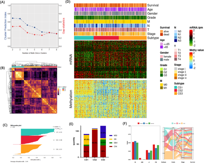 Prognostic molecular subtype reveals the heterogeneity of tumor immune microenvironment in gastric cancer