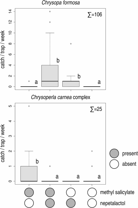 Species- and context-dependent responses of green lacewings suggest a complex ecological role for methyl salicylate (Neuroptera: Chrysopidae)