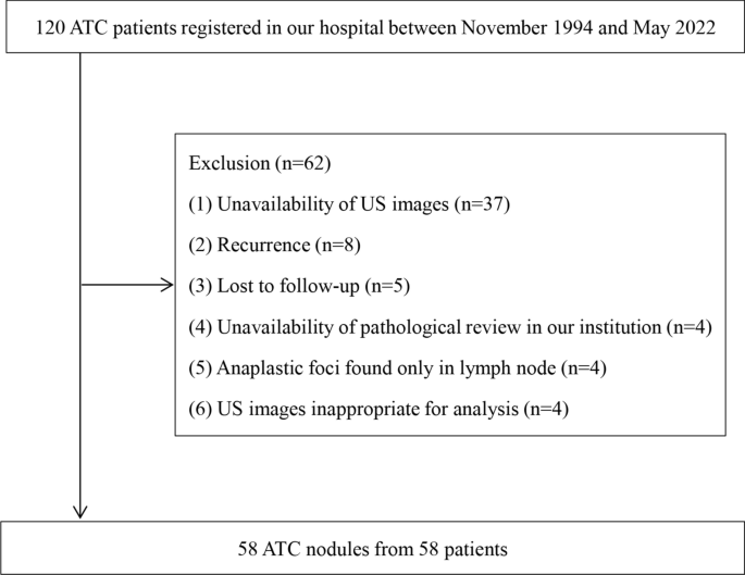 Prognostic significance of clinicopathological and ultrasonographic features in anaplastic thyroid carcinoma beyond TERT promoter mutation