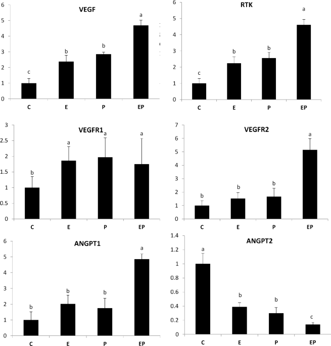 Effects of increasing the dietary contents of metabolizable energy and protein during the peripartum period on mammary gland development in Sistani goats