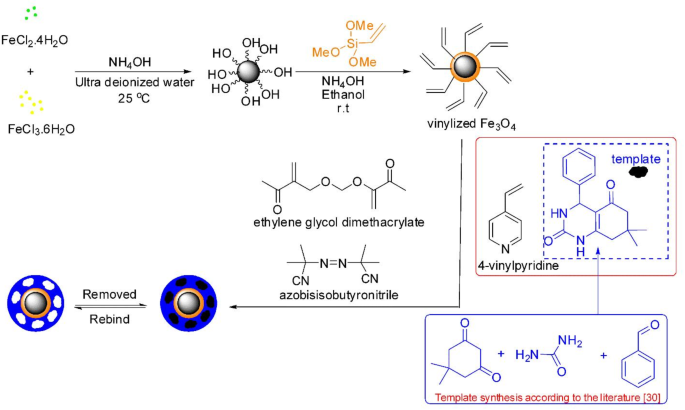 The presence and absence effect of the template on optical nonlinearity responses of magnetic moleculary imprinted polymer