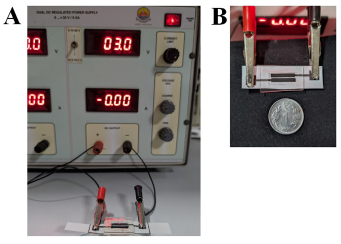 Efficient on-chip electrochemical lysing of foodborne bacteria for longer DNA strands with high yield for molecular analysis