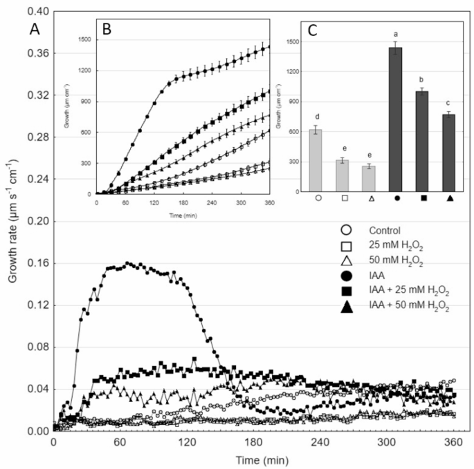 The effect of H2O2 on elongation growth and oxidative stress in maize coleoptile cells treated with auxin and fusicoccin