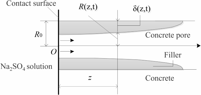 Numerical study on ion migration in concrete under the influence of salt solution