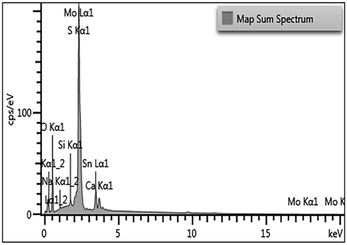 Surface structural probing and photoelectrochemical characterization of electrodeposited MoS2 nanostructured thin film