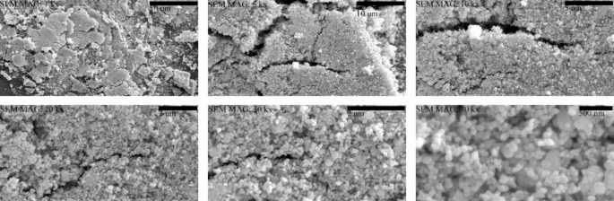Zingerone based green synthesized sodium doped zinc oxide nanoparticles eliminate U87 glioblastoma cells by inducing apoptosis