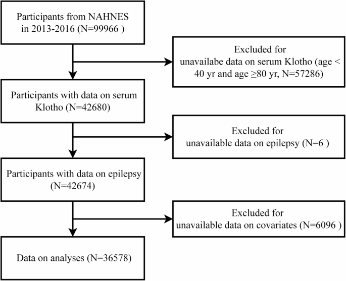 Serum Klotho levels and epilepsy among U.S. adults in the NHANES 2013–2016: a cross-sectional study