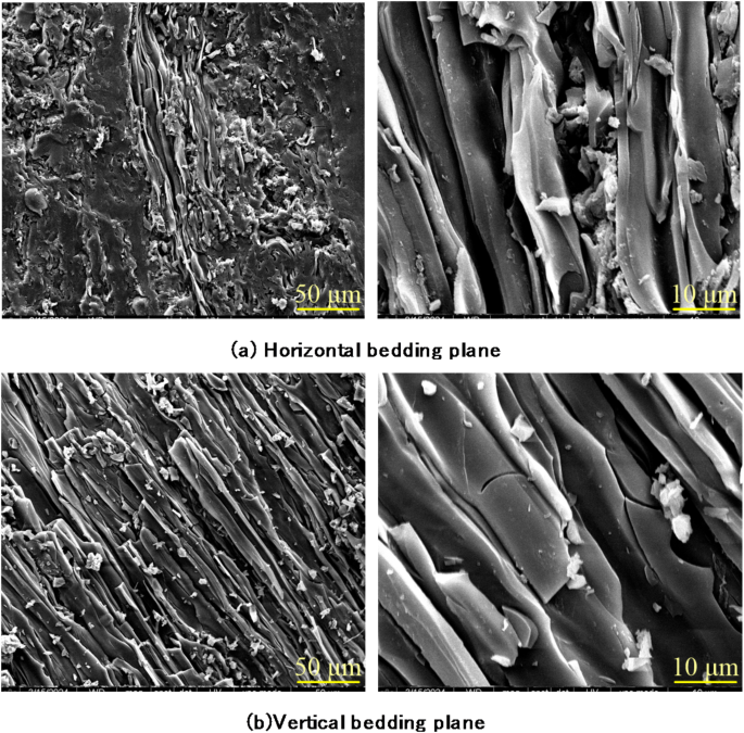 Experimental investigation of the acoustic emission and energy evolution of bedded coal under uniaxial compression