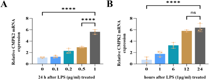 CMPK2 promotes microglial activation through the cGAS-STING pathway in the neuroinflammatory mechanism