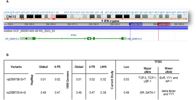 Impact of age, HIV1, sickle-cell genotypes, and interferon-gamma gene upstream variants on malaria disease outcomes in a longitudinal pediatric cohort