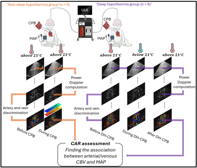 Towards quantitative assessment of cerebrovascular autoregulation in human neonates using ultrafast ultrasound imaging