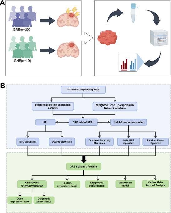 Identification and validation of LY6H and GRM3 as candidate biomarkers for Glioma-related epilepsy