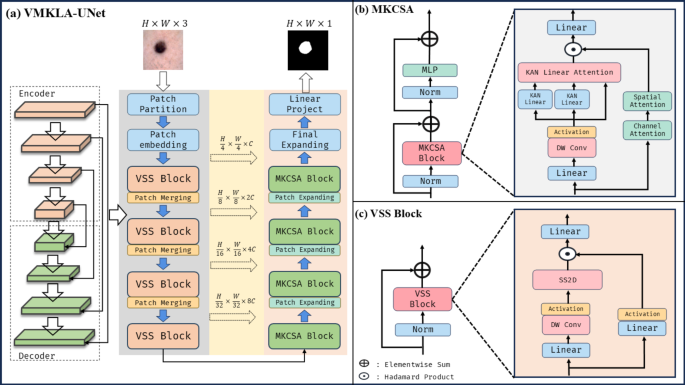 VMKLA-UNet: vision Mamba with KAN linear attention U-Net