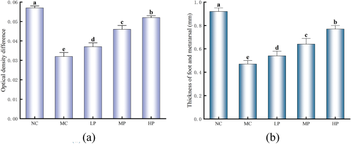 An in vivo study of the ameliorative effect of supplementation with Lacticaseibacillus paracasei Glory LP16 in immunocompromised mice
