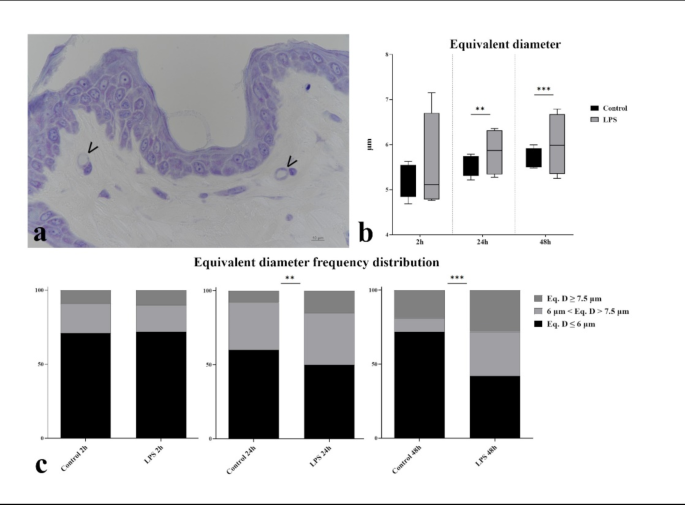Oxylipins as canine sepsis indicators in vivo and in ex vivo skin organ culture model