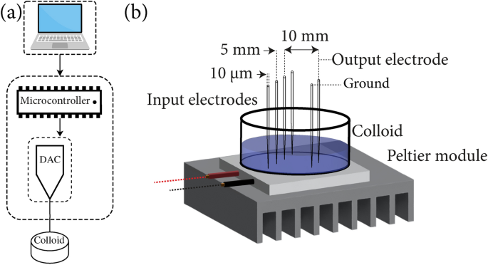 Thermal colloid programming | Scientific Reports