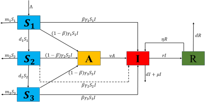 Mathematical modeling of tuberculosis using Caputo fractional derivative: a comparative analysis with real data