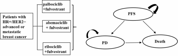 Cost-effectiveness of CDK4/6 inhibitors for second-line HR+/HER2− advanced or metastatic breast cancer in China
