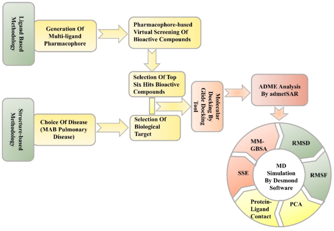 Identification of novel inhibitors targeting Mycobacterium abscessus InhA through virtual screening, docking, and molecular dynamic simulations