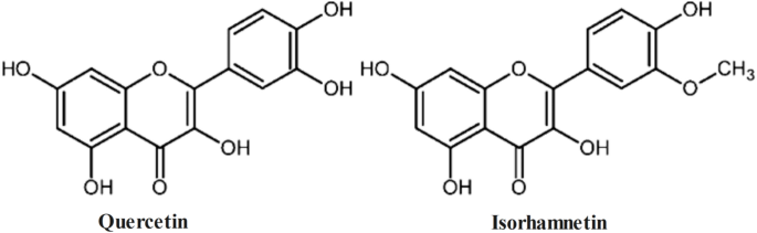 Optimizing the eco-friendly dyeing of wool and nylon fabrics with Prangos ferulacea (L.) Lindl using artificial intelligence
