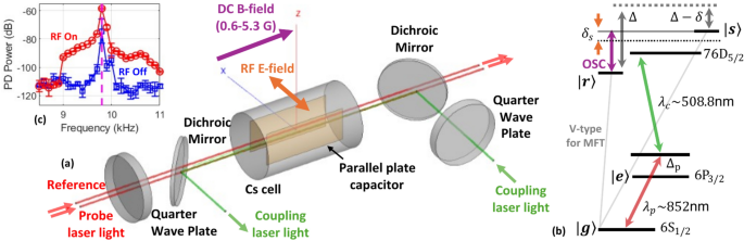 Electric-field sensing with driven-dissipative time crystals in room-temperature Rydberg vapor