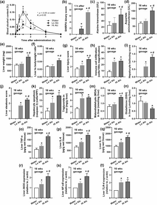 Alcohol-induced gut permeability defect through dysbiosis and enterocytic mitochondrial interference causing pro-inflammatory macrophages in a dose dependent manner